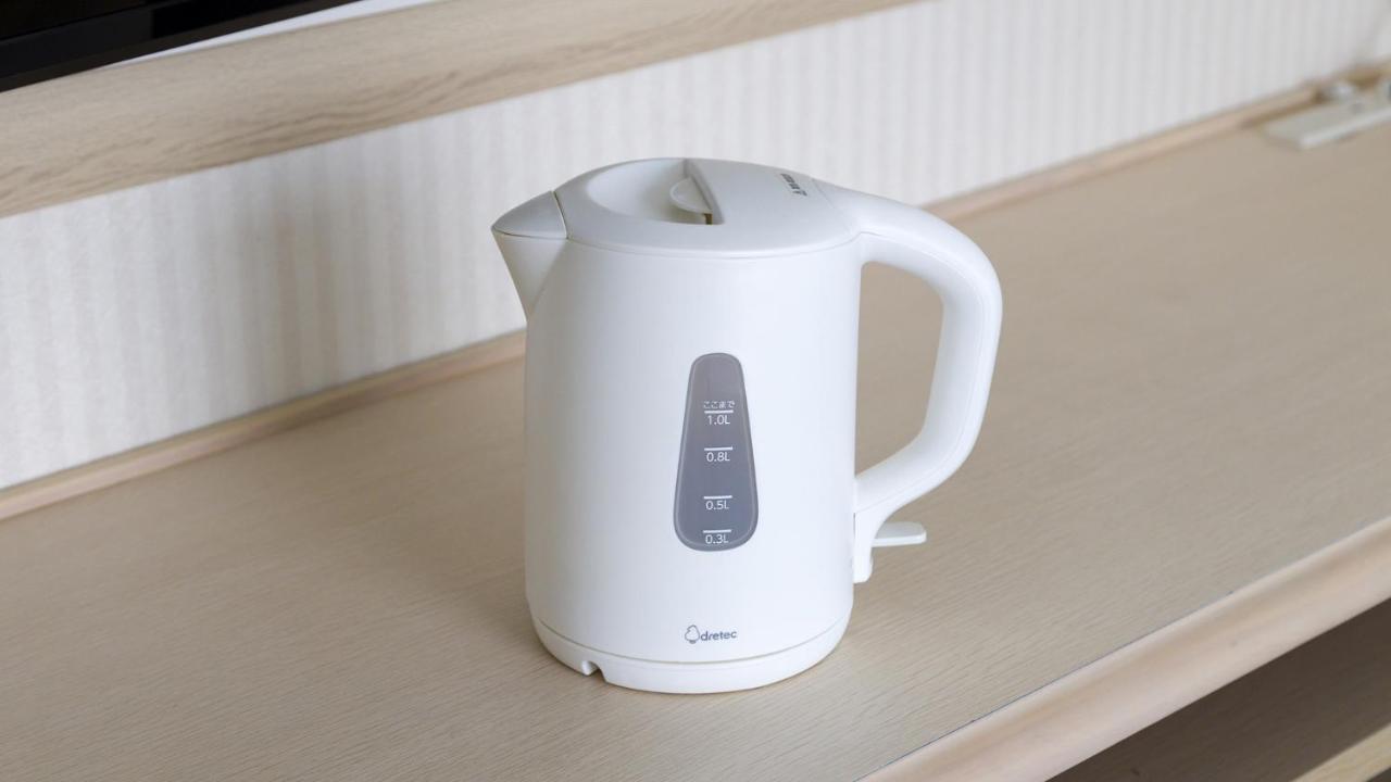 Toyoko Inn Osaka Nippombashi Bunraku Gekijo Mae Zewnętrze zdjęcie